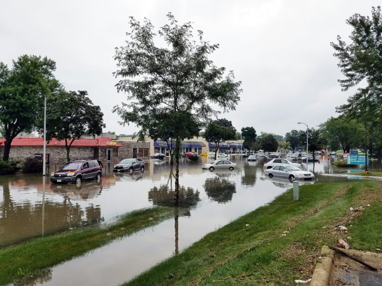 cars in a flooded parking lot.